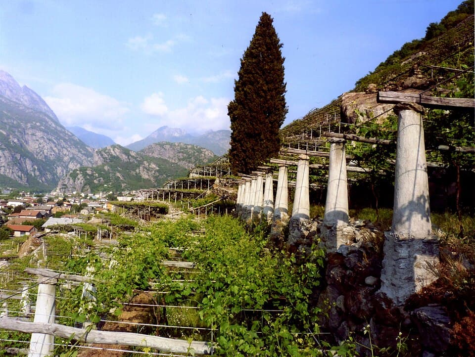 La Viticoltura Eroica