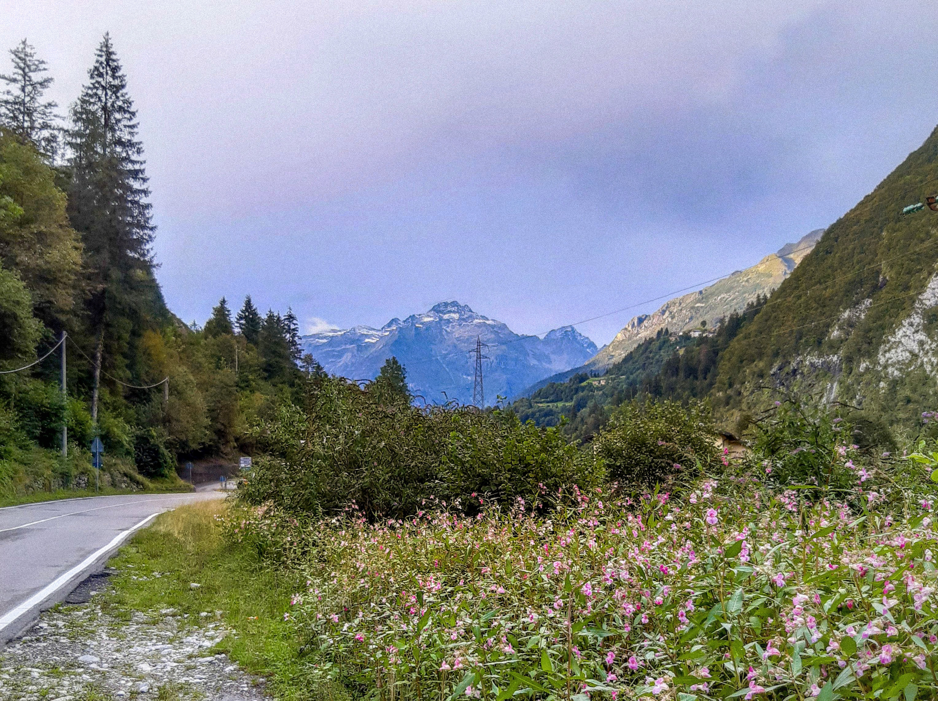 Parco delle Orobie Valtellinesi